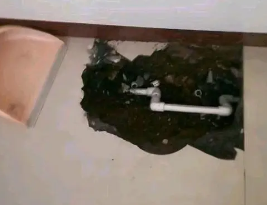 道里卫生间测漏水多少钱